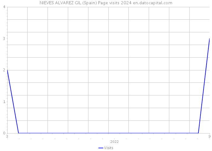 NIEVES ALVAREZ GIL (Spain) Page visits 2024 