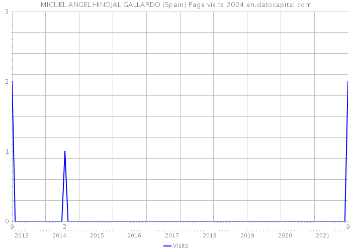 MIGUEL ANGEL HINOJAL GALLARDO (Spain) Page visits 2024 