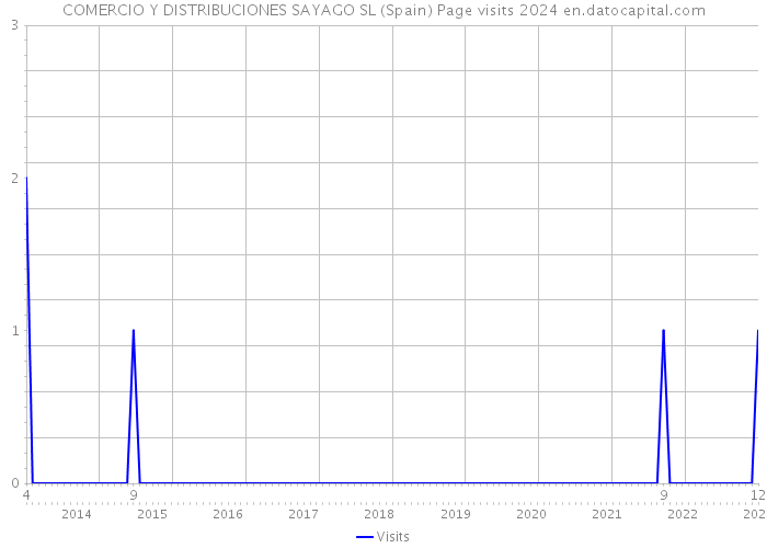 COMERCIO Y DISTRIBUCIONES SAYAGO SL (Spain) Page visits 2024 