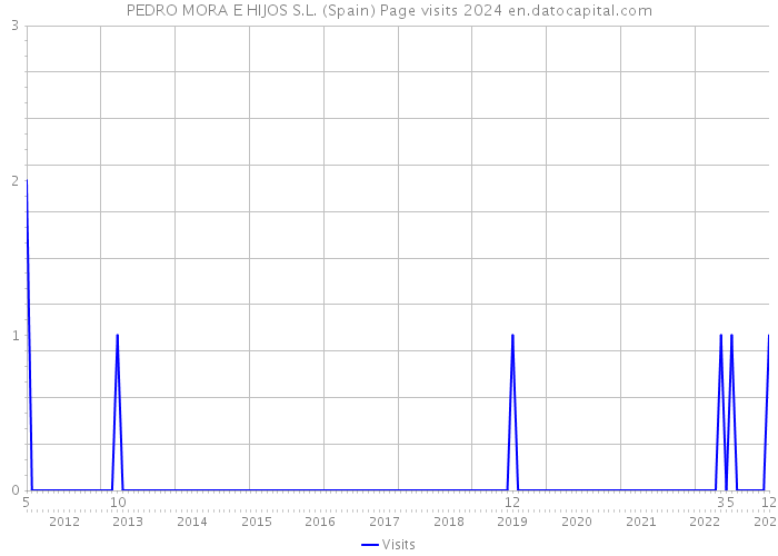 PEDRO MORA E HIJOS S.L. (Spain) Page visits 2024 