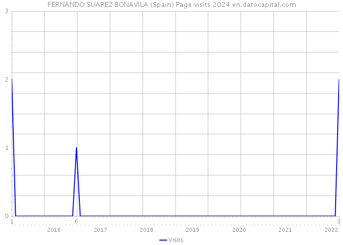 FERNANDO SUAREZ BONAVILA (Spain) Page visits 2024 