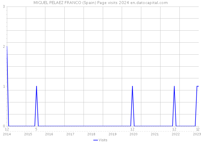 MIGUEL PELAEZ FRANCO (Spain) Page visits 2024 