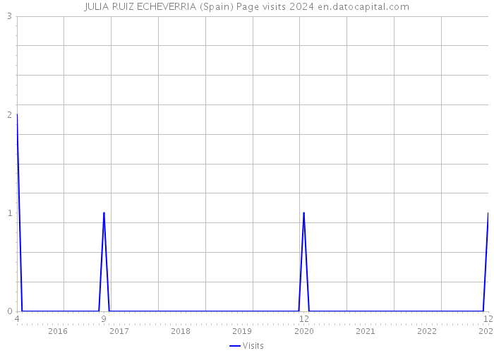 JULIA RUIZ ECHEVERRIA (Spain) Page visits 2024 