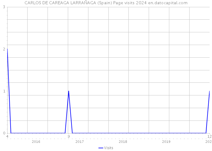 CARLOS DE CAREAGA LARRAÑAGA (Spain) Page visits 2024 