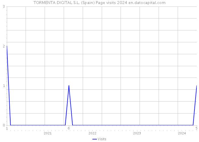 TORMENTA DIGITAL S.L. (Spain) Page visits 2024 