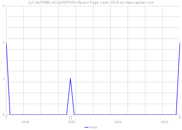 LLC NUTMEG ACQUISITION (Spain) Page visits 2024 