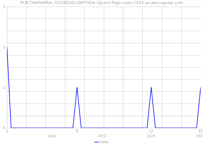 PUB CHAPARRAL SOCIEDAD LIMITADA (Spain) Page visits 2024 