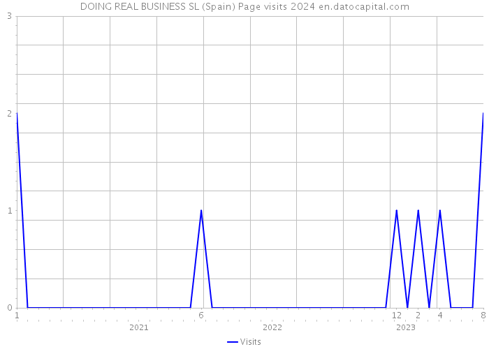 DOING REAL BUSINESS SL (Spain) Page visits 2024 