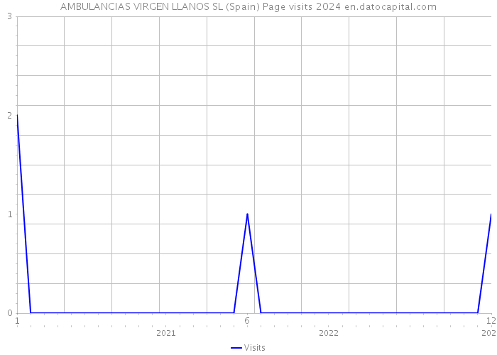 AMBULANCIAS VIRGEN LLANOS SL (Spain) Page visits 2024 