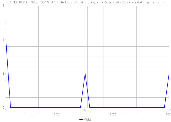 CONSTRUCCIONES CONSTANTINA DE SEVILLA S.L. (Spain) Page visits 2024 