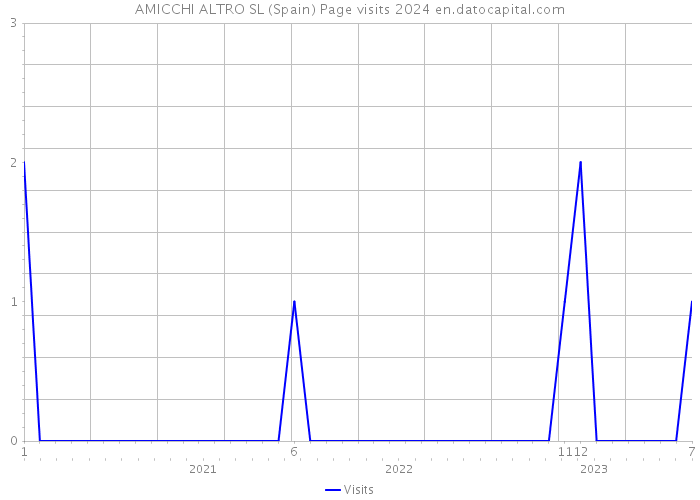 AMICCHI ALTRO SL (Spain) Page visits 2024 
