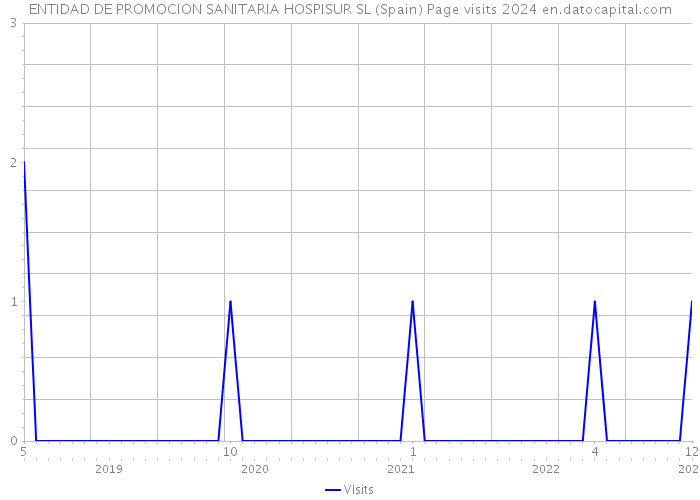 ENTIDAD DE PROMOCION SANITARIA HOSPISUR SL (Spain) Page visits 2024 