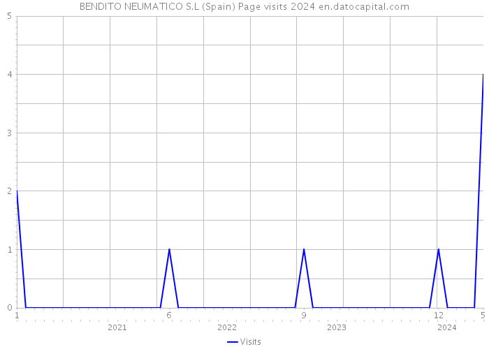 BENDITO NEUMATICO S.L (Spain) Page visits 2024 