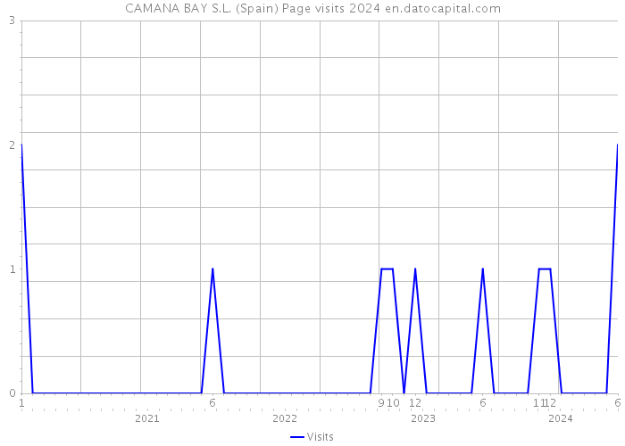 CAMANA BAY S.L. (Spain) Page visits 2024 