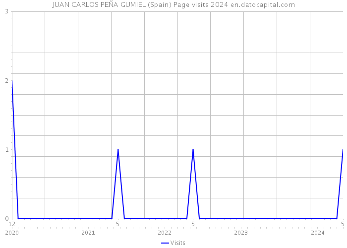 JUAN CARLOS PEÑA GUMIEL (Spain) Page visits 2024 
