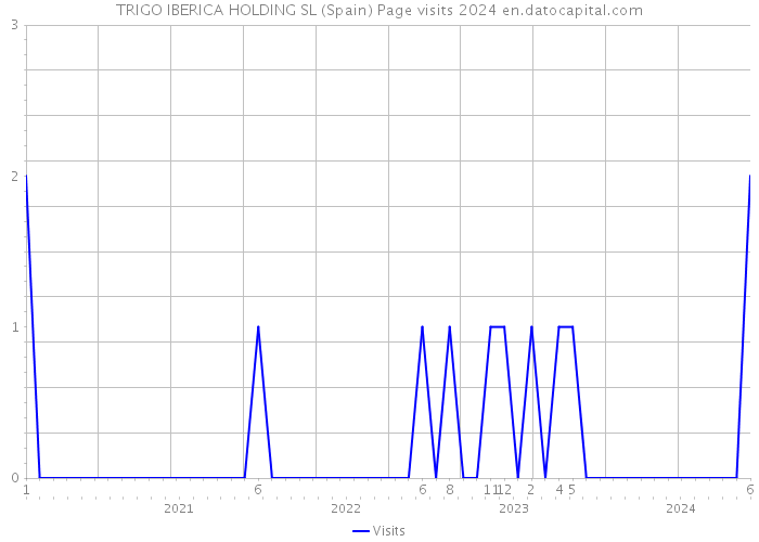 TRIGO IBERICA HOLDING SL (Spain) Page visits 2024 