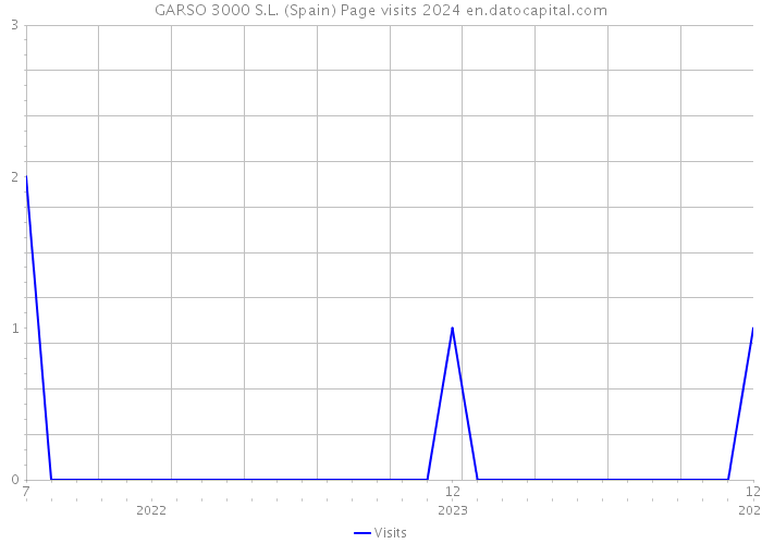 GARSO 3000 S.L. (Spain) Page visits 2024 