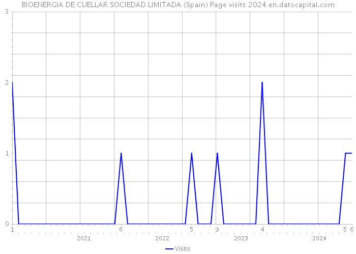 BIOENERGIA DE CUELLAR SOCIEDAD LIMITADA (Spain) Page visits 2024 