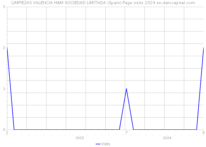 LIMPIEZAS VALENCIA H&M SOCIEDAD LIMITADA (Spain) Page visits 2024 