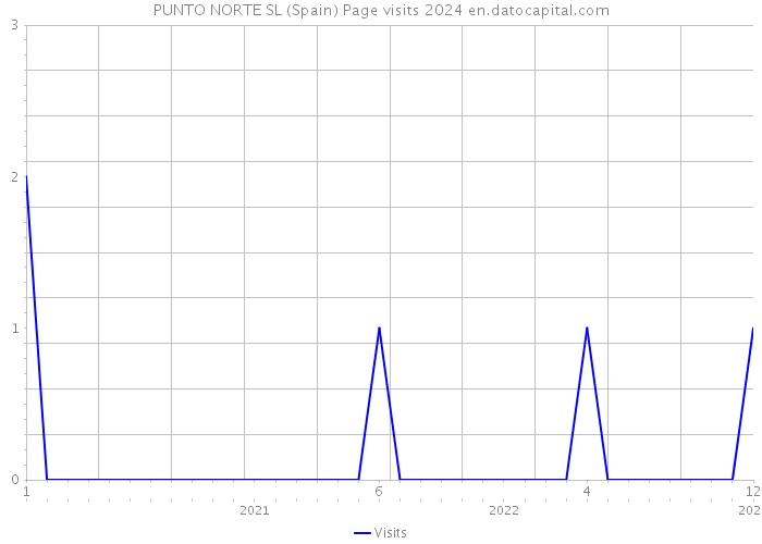 PUNTO NORTE SL (Spain) Page visits 2024 