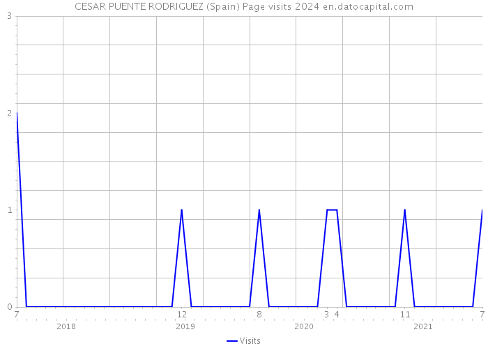 CESAR PUENTE RODRIGUEZ (Spain) Page visits 2024 
