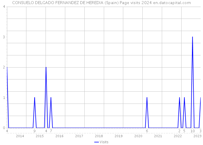 CONSUELO DELGADO FERNANDEZ DE HEREDIA (Spain) Page visits 2024 