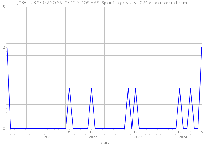 JOSE LUIS SERRANO SALCEDO Y DOS MAS (Spain) Page visits 2024 