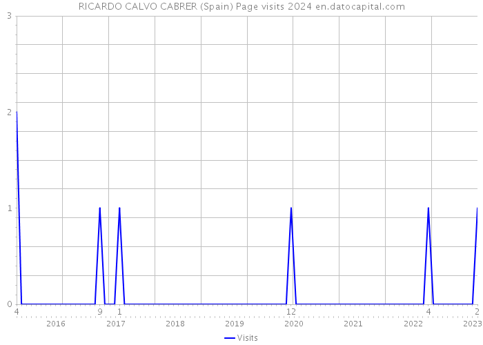 RICARDO CALVO CABRER (Spain) Page visits 2024 