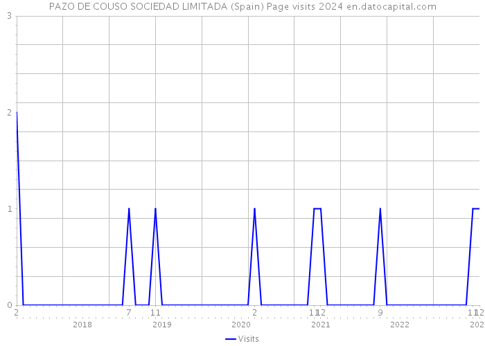 PAZO DE COUSO SOCIEDAD LIMITADA (Spain) Page visits 2024 