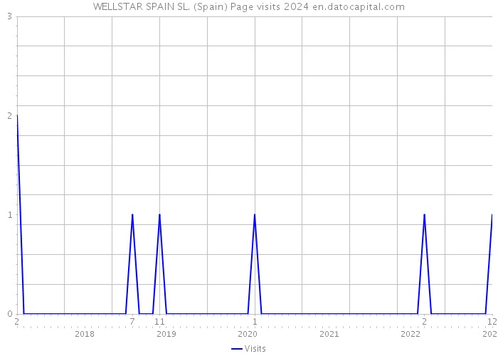 WELLSTAR SPAIN SL. (Spain) Page visits 2024 