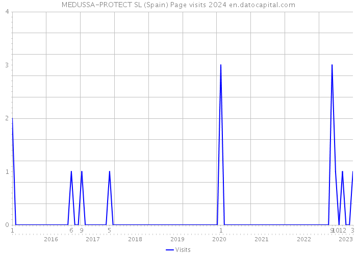 MEDUSSA-PROTECT SL (Spain) Page visits 2024 