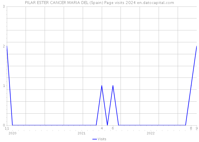 PILAR ESTER CANCER MARIA DEL (Spain) Page visits 2024 