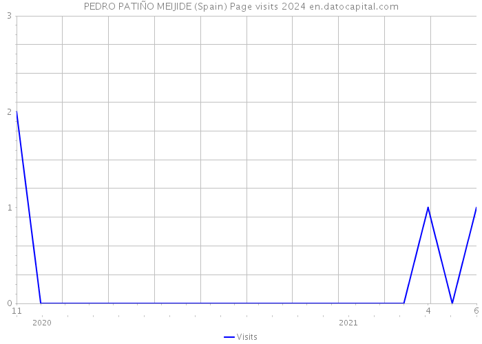 PEDRO PATIÑO MEIJIDE (Spain) Page visits 2024 