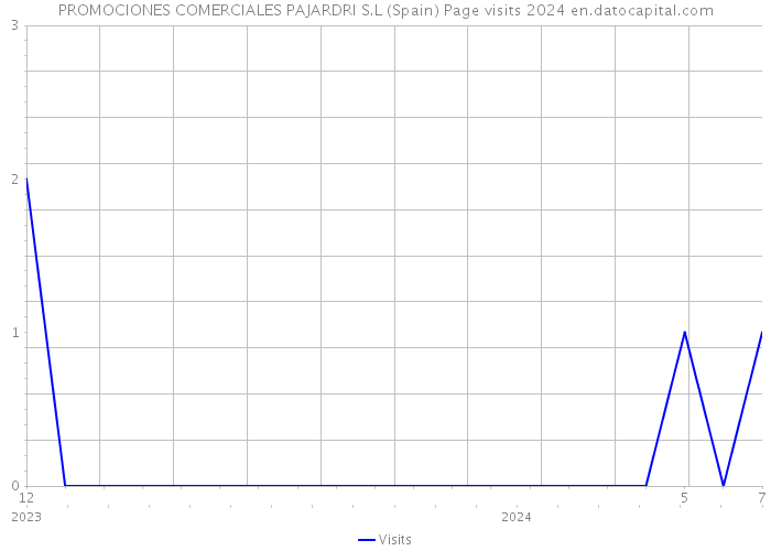 PROMOCIONES COMERCIALES PAJARDRI S.L (Spain) Page visits 2024 