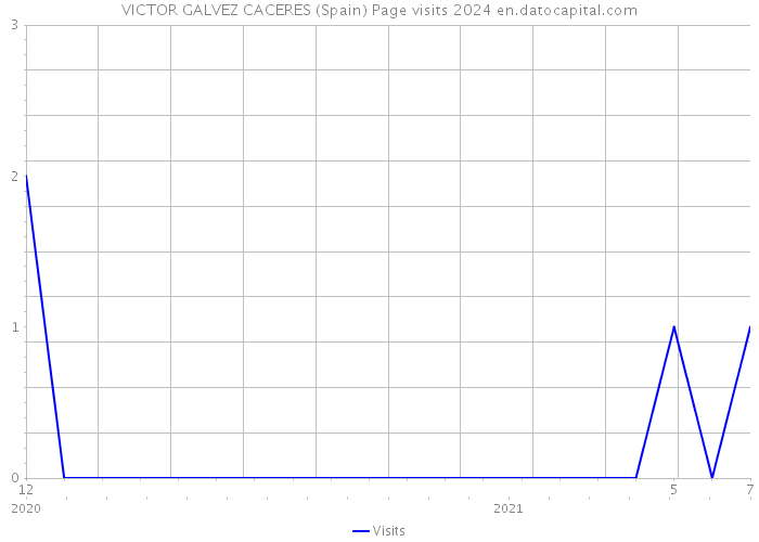 VICTOR GALVEZ CACERES (Spain) Page visits 2024 