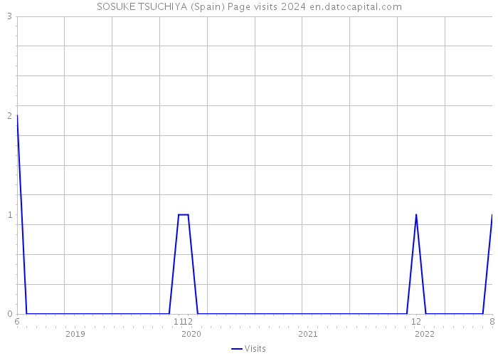 SOSUKE TSUCHIYA (Spain) Page visits 2024 