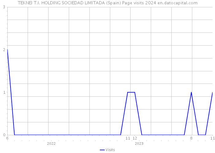 TEKNEI T.I. HOLDING SOCIEDAD LIMITADA (Spain) Page visits 2024 