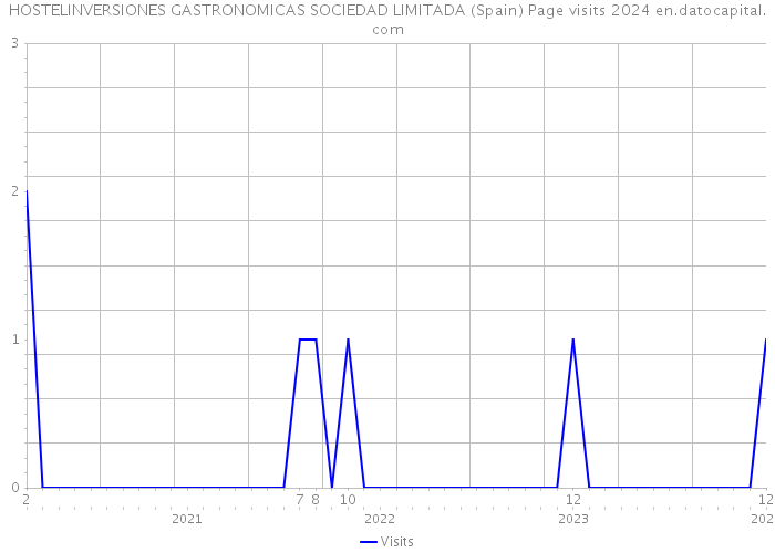 HOSTELINVERSIONES GASTRONOMICAS SOCIEDAD LIMITADA (Spain) Page visits 2024 