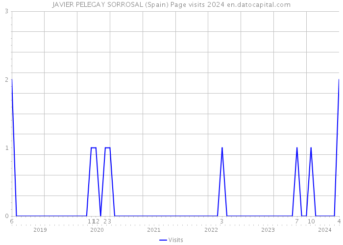 JAVIER PELEGAY SORROSAL (Spain) Page visits 2024 