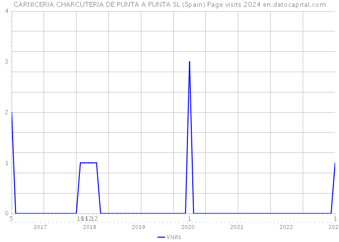 CARNICERIA CHARCUTERIA DE PUNTA A PUNTA SL (Spain) Page visits 2024 