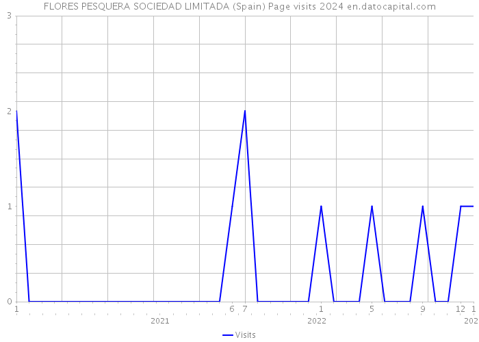 FLORES PESQUERA SOCIEDAD LIMITADA (Spain) Page visits 2024 