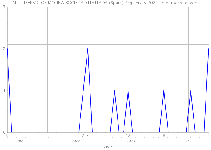 MULTISERVICIOS MOLINA SOCIEDAD LIMITADA (Spain) Page visits 2024 