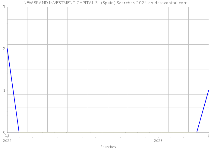 NEW BRAND INVESTMENT CAPITAL SL (Spain) Searches 2024 
