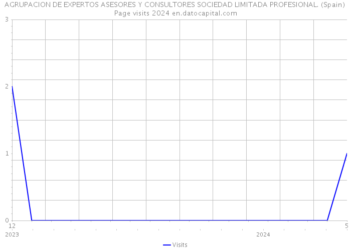 AGRUPACION DE EXPERTOS ASESORES Y CONSULTORES SOCIEDAD LIMITADA PROFESIONAL. (Spain) Page visits 2024 