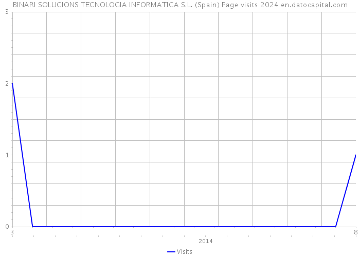 BINARI SOLUCIONS TECNOLOGIA INFORMATICA S.L. (Spain) Page visits 2024 