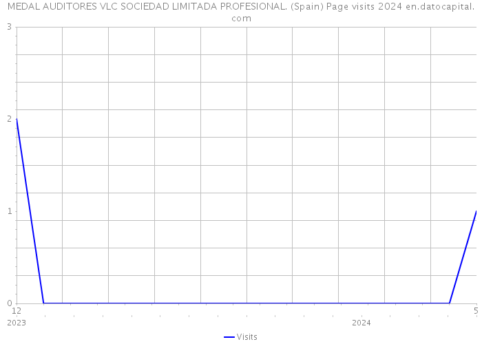 MEDAL AUDITORES VLC SOCIEDAD LIMITADA PROFESIONAL. (Spain) Page visits 2024 