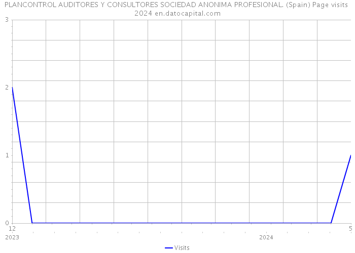 PLANCONTROL AUDITORES Y CONSULTORES SOCIEDAD ANONIMA PROFESIONAL. (Spain) Page visits 2024 