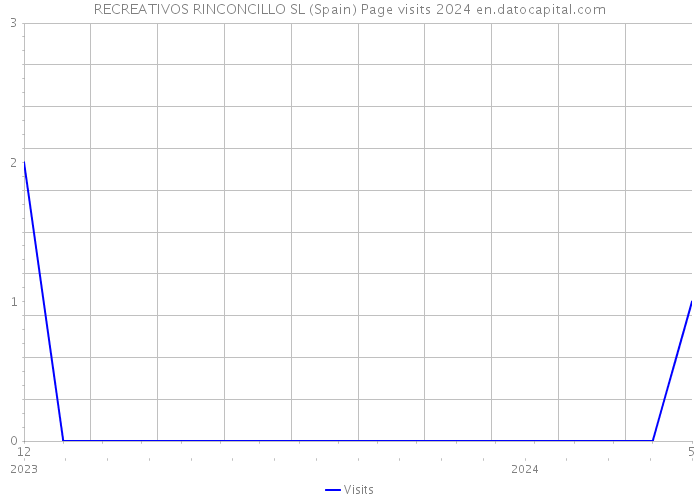 RECREATIVOS RINCONCILLO SL (Spain) Page visits 2024 