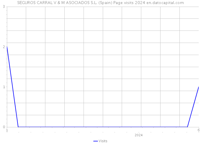 SEGUROS CARRAL V & M ASOCIADOS S.L. (Spain) Page visits 2024 