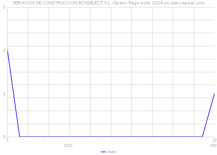 SERVICIOS DE CONSTRUCCION BCNSELECT S.L. (Spain) Page visits 2024 